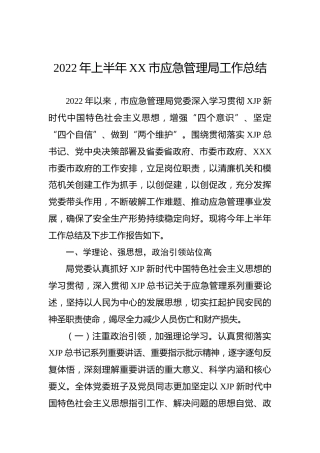 2022年上半年XX市应急管理局工作总结