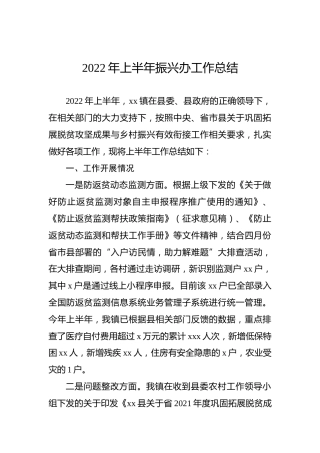 2022年上半年振兴办工作总结