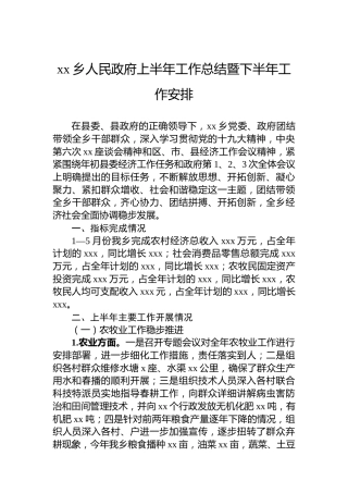 xx乡人民政府上半年工作总结暨下半年工作安排