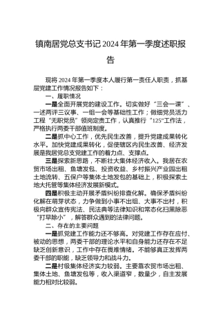 镇南居党总支书记2024年第一季度述职报告(20240407)