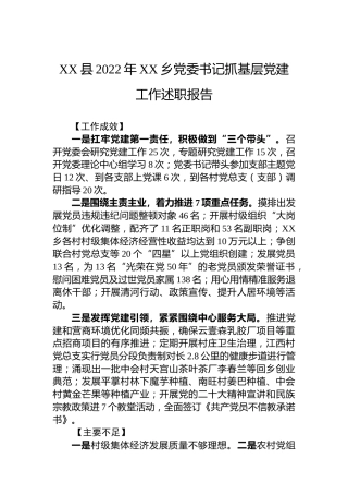 XX县2022年XX乡党委书记抓基层党建工作述职报告（20230130）