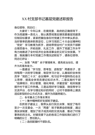 XX村支部书记基层党建述职报告（20230108）