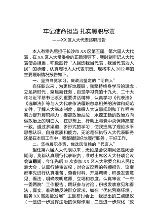 XX区人大代表述职报告（20221227）