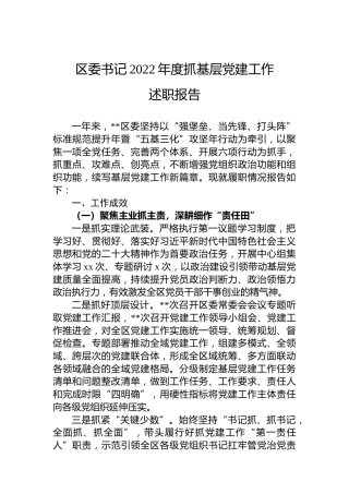 区委书记2022年度抓基层党建工作述职报告 (3)