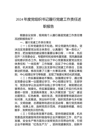 2024年度党组织书记履行党建工作责任述职报告