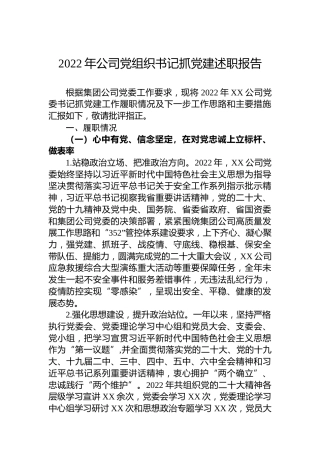 2022年公司党组织书记抓党建述职报告 (2)