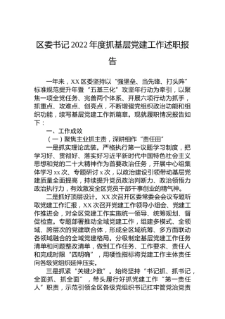 区委书记2022年度抓基层党建工作述职报告 (2)