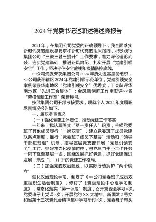 2024年党委书记述职述德述廉报告