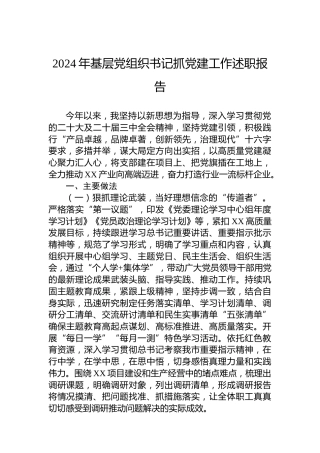 2024年基层党组织书记抓党建工作述职报告