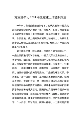 党支部书记2024年抓党建工作述职报告