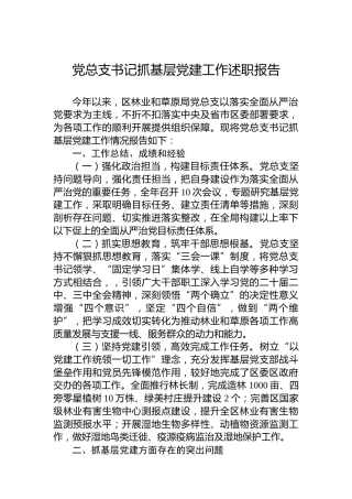 2024年党总支书记抓基层党建工作述职报告