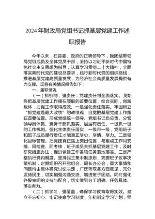 2024年财政局党组书记抓基层党建工作述职报告