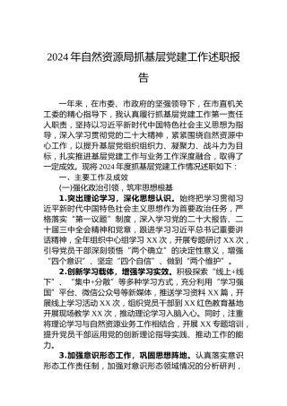 2024年自然资源局抓基层党建工作述职报告