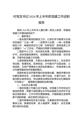 村党支书记2024年上半年抓党建工作述职报告