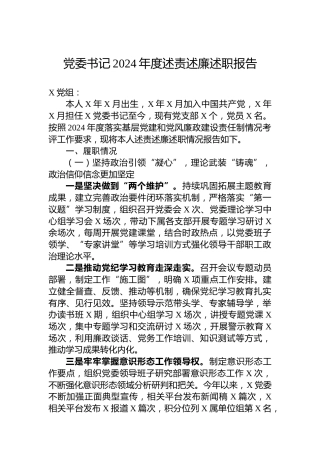 党委书记2024年度述责述廉述职报告