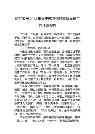区民政局2023年党支部书记抓基层党建工作述职报告