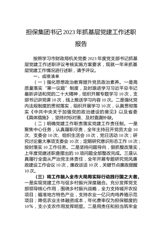 担保集团书记2023年抓基层党建工作述职报告