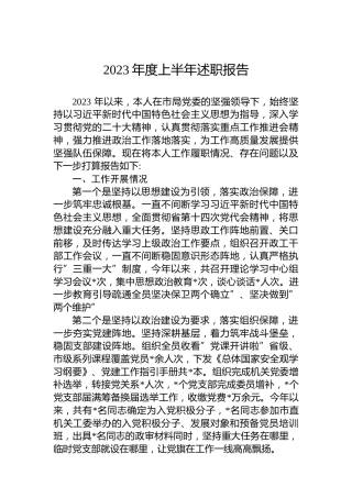 2023年度上半年述职报告