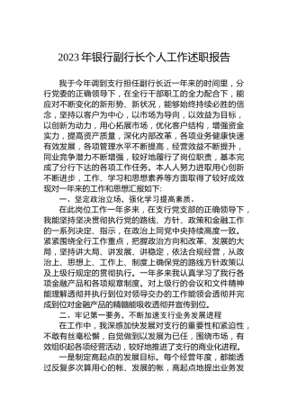2023年银行副行长个人工作述职报告