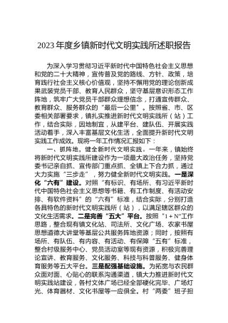 2023年度乡镇新时代文明实践所述职报告