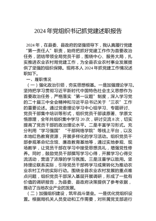 2024年党组织书记抓党建述职报告