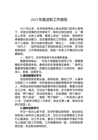 2023年度述职工作报告