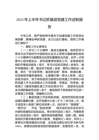 2023年上半年书记抓基层党建工作述职报告
