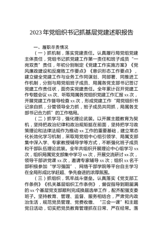 2023年党组织书记抓基层党建述职报告