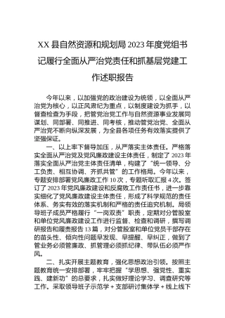 XX县自然资源和规划局2023年度党组书记履行全面从严治党责任和抓基层党建工作述职报告