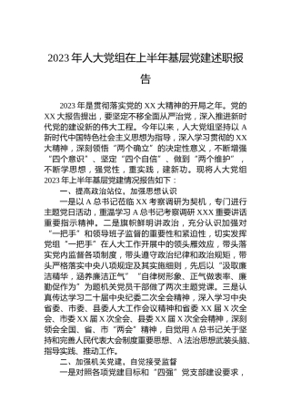 2023年人大党组在上半年基层党建述职报告