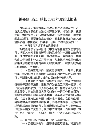 镇委副书记、镇长2023年度述法报告