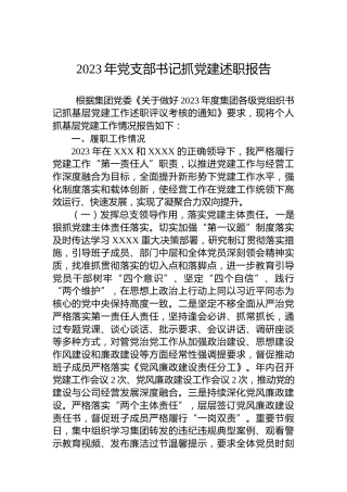 2023年党支部书记抓党建述职报告