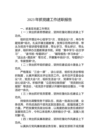 2023年抓党建工作述职报告