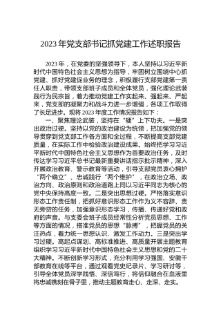 2023年党支部书记抓党建工作述职报告