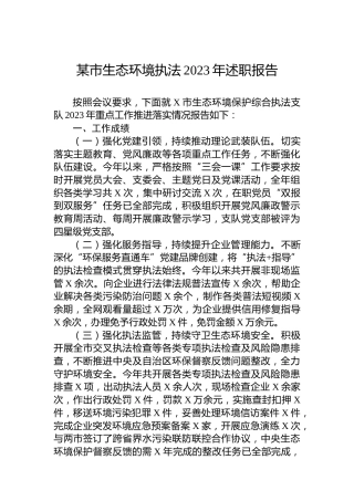 某市生态环境执法2023年述职报告