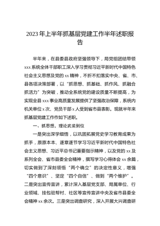 2023年上半年抓基层党建工作半年述职报告