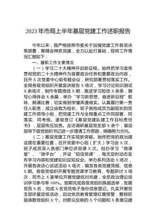 2023年市局上半年基层党建工作述职报告