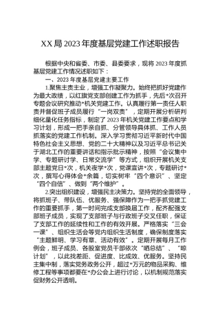 XX局2023年度基层党建工作述职报告