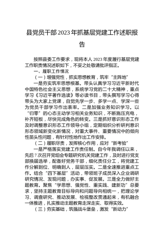 县党员干部2023年抓基层党建工作述职报告