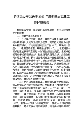 乡镇党委书记关于2023年度抓基层党建工作述职报告