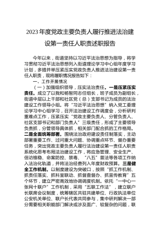 2023年度党政主要负责人履行推进法治建设第一责任人职责述职报告