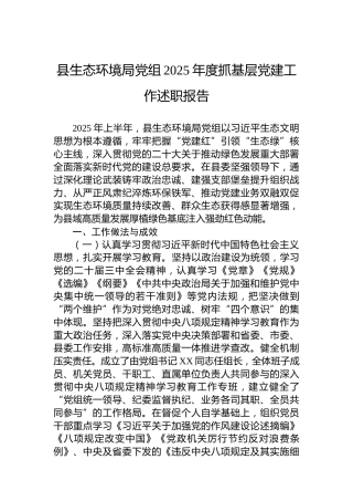县生态环境局党组2025年度抓基层党建工作述职报告