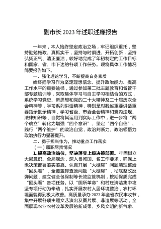 副市长2023年述职述廉报告