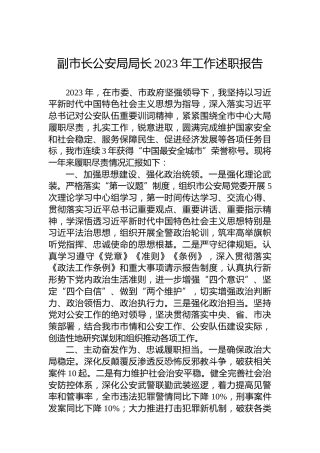 副市长公安局局长2023年工作述职报告