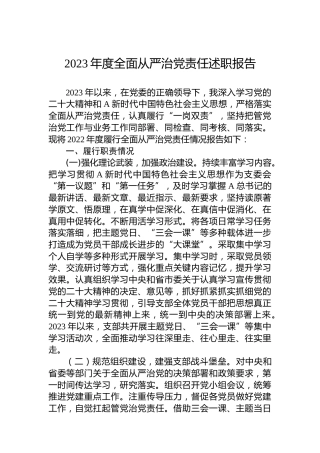 2023年度全面从严治党责任述职报告
