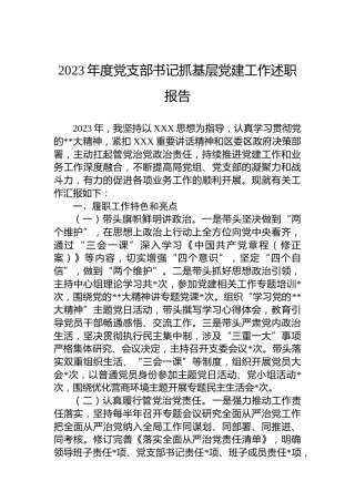 2023年度党支部书记抓基层党建工作述职报告