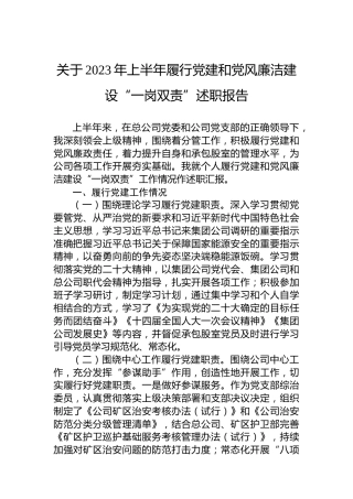 关于2023年上半年履行党建和党风廉洁建设“一岗双责”述职报告