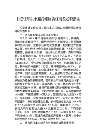 书记任职以来履行经济责任情况述职报告