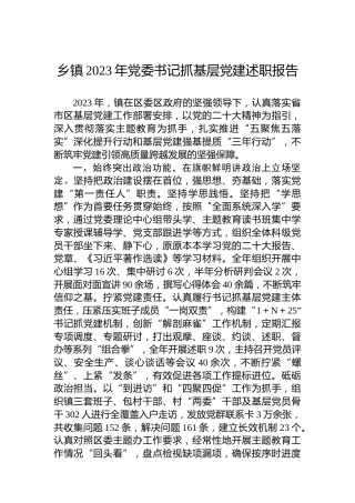 乡镇2023年党委书记抓基层党建述职报告