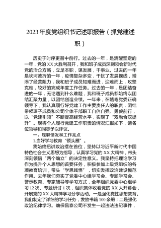 2023年度党组织书记述职报告